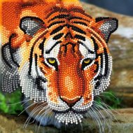 Crystal Card Kit | Diamond painting The Tiger