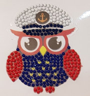 Crystal Art Motif Kit stickers | Captain Owl