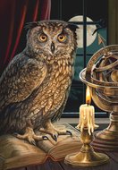 Crystal Art Kit | Diamond Painting The Astrologer Owl