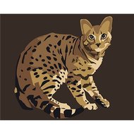 Wizardi Paint by Numbers | Bengal Cat - T16130064