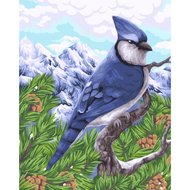 Wizardi Paint by Numbers | Blue Jay - H106