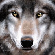 Crystal Art Kit | Diamond Painting Wolf