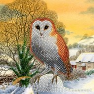 Crystal Card Kit | Diamond painting Winter Owl