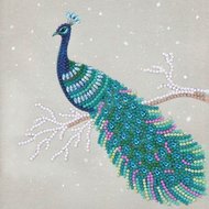 Crystal Card Kit | Diamond painting Pretty Peacock