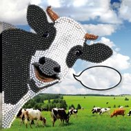 Crystal Card Kit | Diamond painting Funny Cow