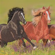 Crystal Card Kit | Diamond painting Galloping Horses