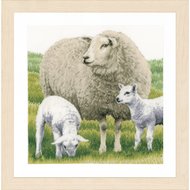 Lanarte Sheep