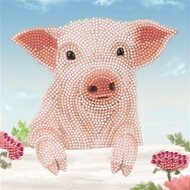 Crystal Card Kit | Diamond painting Pig on the Fence
