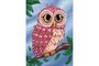 Wizardi Diamond Painting Kit Colourful Owl WD2491_