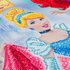 Crystal Art Kit | Diamond Painting Disney Princes Medley CAK-DNY708XL_
