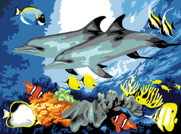 Royalbrush Schilderen op nummer | Dolphins - PJL10
