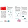 Haakboek Flying Dolls - Afbeelding 7