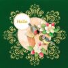 3D Velvet Cards Nr. 5 Garden Classics - Afbeelding 4