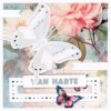 Butterfly Cards Nr. 3 - Afbeelding 3
