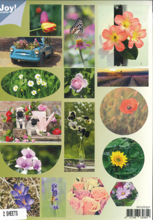 Push-out sheet-3D - Joy! Crafts - Bloemen - 6013/0331