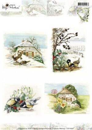 knipvel-3D- Studie Martare - Pictures - Winter - Lente - CD10647