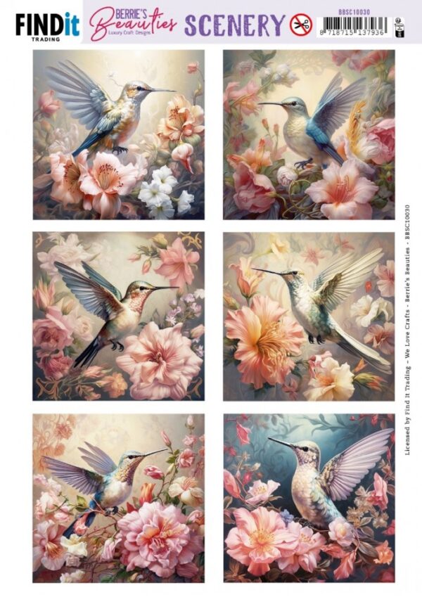 Push-out sheet - 3D - Berrie's Beauties - Hummingbird Square - BBSC10030
