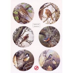 World of Craft - Push-out sheet - Scenery - Birds - WOCPL025