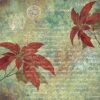 Berries Beauties paperpack Timeless Christmas - Afbeelding 13