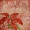 Berries Beauties paperpack Timeless Christmas - Afbeelding 8