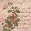 Berries Beauties paperpack Timeless Christmas - Afbeelding 3