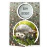 Scrap and Do Simply The Best Nr. 09 Forest Animals - Afbeelding 5