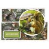 Scrap and Do Simply The Best Nr. 09 Forest Animals - Afbeelding 4