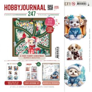 Hobbyjournaal Magazine 247