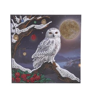 Crystal Card Kit | Diamond painting Frosted Moon