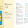 Granny Squares Haken - Afbeelding 4
