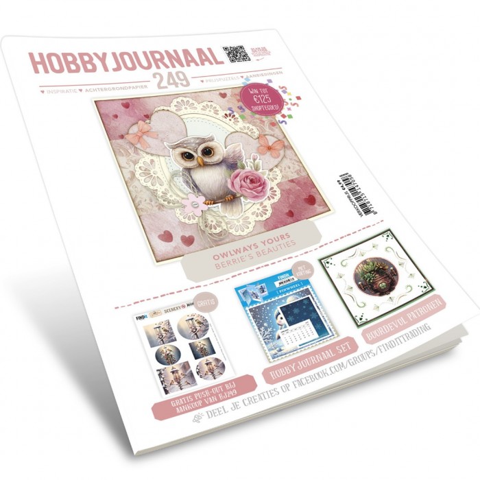 Hobbyjournaal Magazine 249 - Afbeelding 3
