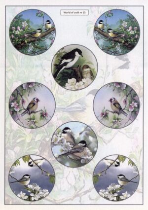 knipvel-3D - WOC10015