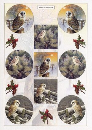 knipvel-3D - WOC10024