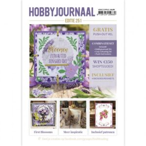 Hobbyjournaal Magazine 251