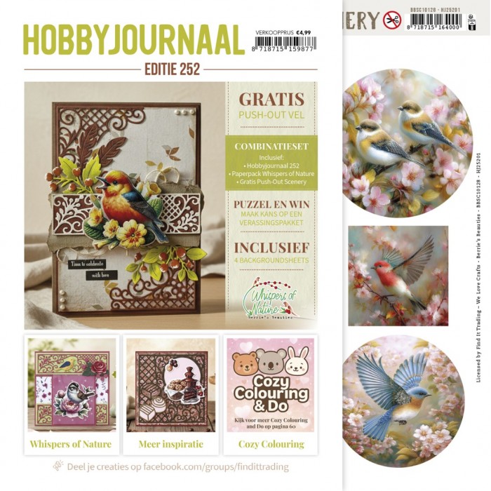 Hobbyjournaal Magazine 252 - Afbeelding 19