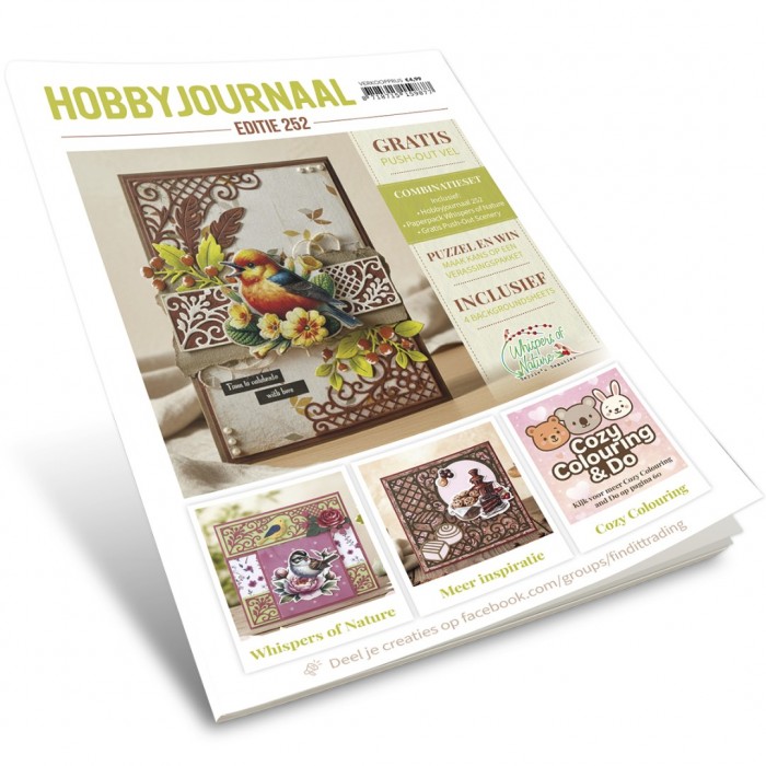 Hobbyjournaal Magazine 252 - Afbeelding 18
