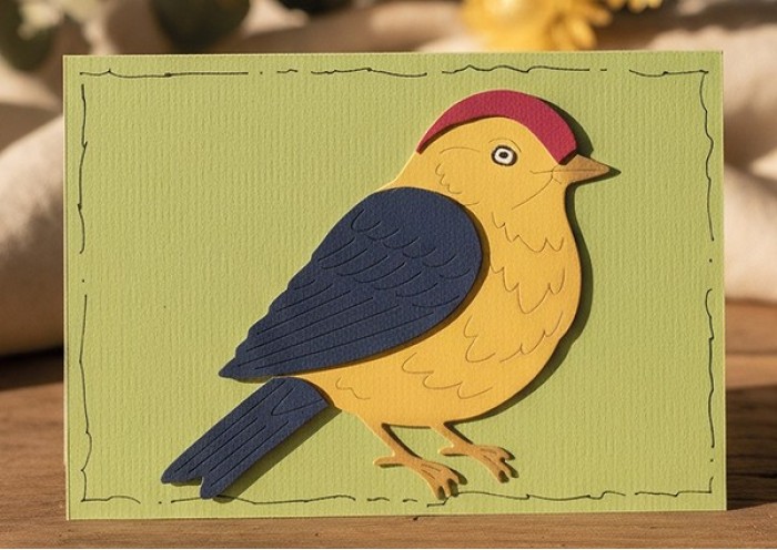 Hobbyjournaal Magazine 252 - Afbeelding 3